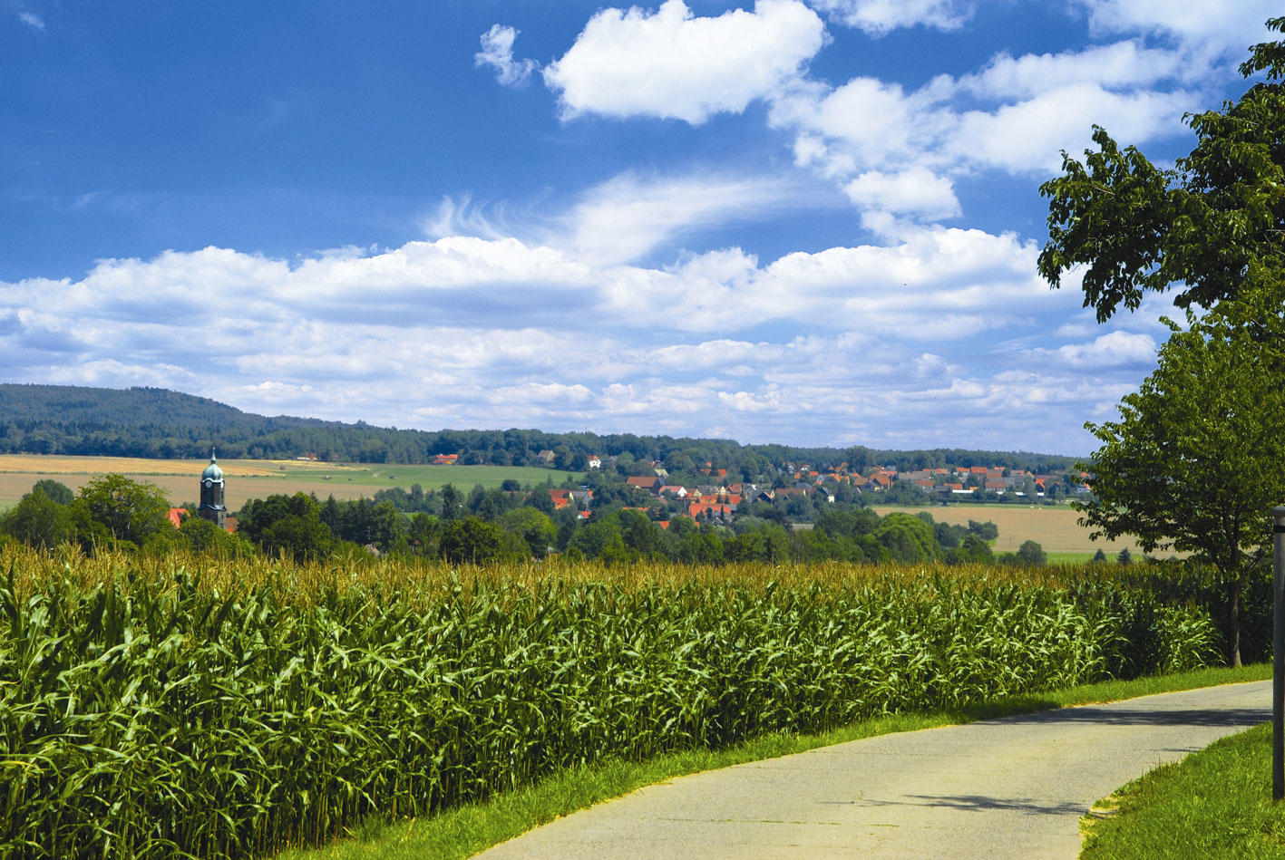 Lohmen Sachsen Touristinformation